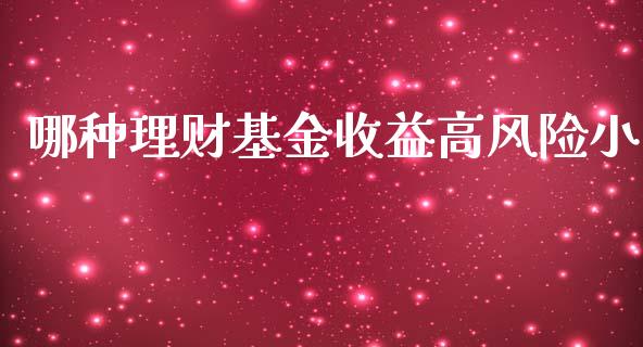 哪种理财基金收益高风险小_https://www.qdlswl.com_理财_第1张