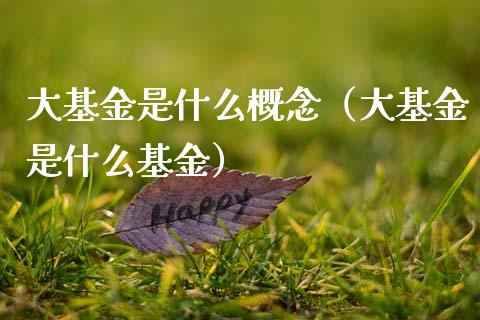 大基金是什么概念（大基金是什么基金）_https://www.qdlswl.com_理财_第1张