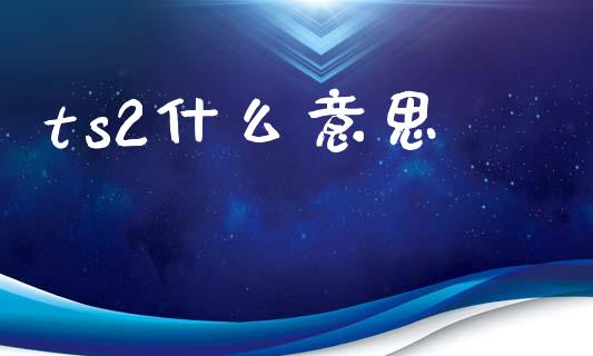 ts2什么意思_https://www.qdlswl.com_股票_第1张