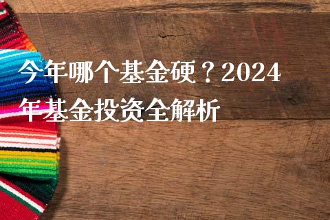 今年哪个基金硬？2024年基金投资全解析_https://www.qdlswl.com_理财_第1张