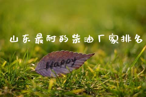 山东最耐的柴油厂家排名_https://www.qdlswl.com_直播_第1张