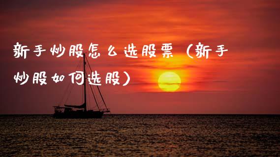 新手炒股怎么选股票（新手炒股如何选股）_https://www.qdlswl.com_内盘_第1张