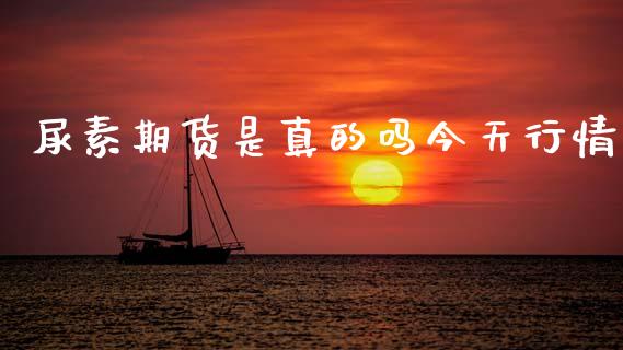 尿素期货是真的吗今天行情_https://www.qdlswl.com_期货_第1张