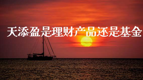天添盈是理财产品还是基金_https://www.qdlswl.com_理财_第1张