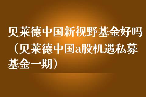 贝莱德中国新视野基金好吗（贝莱德中国a股机遇私募基金一期）_https://www.qdlswl.com_基金_第1张