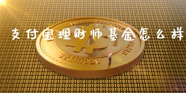 支付宝理财师基金怎么样_https://www.qdlswl.com_基金_第1张