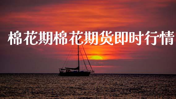 棉花期棉花期货即时行情_https://www.qdlswl.com_期货_第1张
