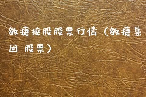敏捷控股股票行情（敏捷集团 股票）_https://www.qdlswl.com_外盘_第1张