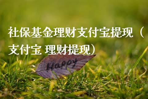 社保基金理财支付宝提现（支付宝 理财提现）_https://www.qdlswl.com_理财_第1张