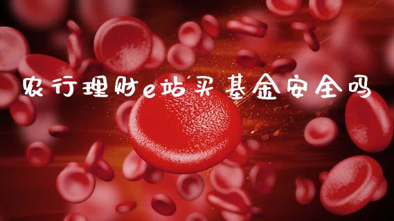 农行理财e站买基金安全吗_https://www.qdlswl.com_基金_第1张