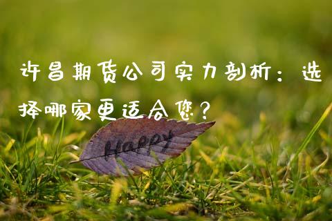 许昌期货公司实力剖析：选择哪家更适合您？_https://www.qdlswl.com_基金_第1张
