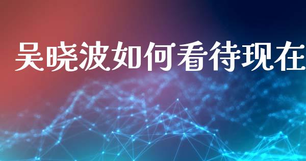吴晓波如何看待现在_https://www.qdlswl.com_外盘_第1张