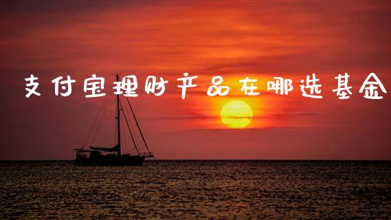 支付宝理财产品在哪选基金_https://www.qdlswl.com_基金_第1张