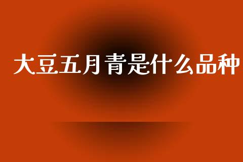 大豆五月青是什么品种_https://www.qdlswl.com_直播_第1张