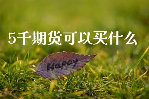 5千期货可以买什么_https://www.qdlswl.com_理财_第1张