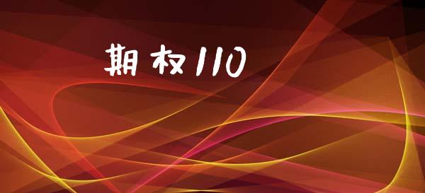 期权110_https://www.qdlswl.com_股票_第1张