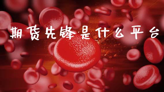 期货先锋是什么平台_https://www.qdlswl.com_直播_第1张