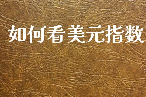 如何看美元指数_https://www.qdlswl.com_期货_第1张