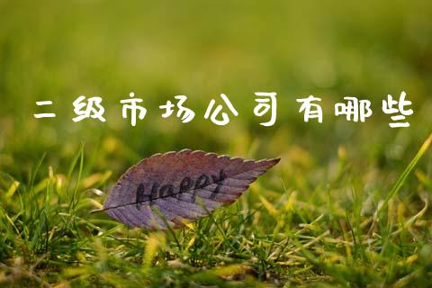 二级市场公司有哪些_https://www.qdlswl.com_基金_第1张