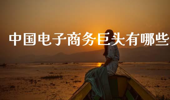 中国电子商务巨头有哪些_https://www.qdlswl.com_基金_第1张