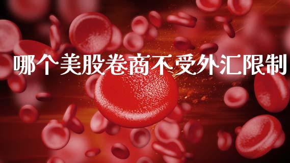 哪个美股卷商不受外汇限制_https://www.qdlswl.com_股指_第1张