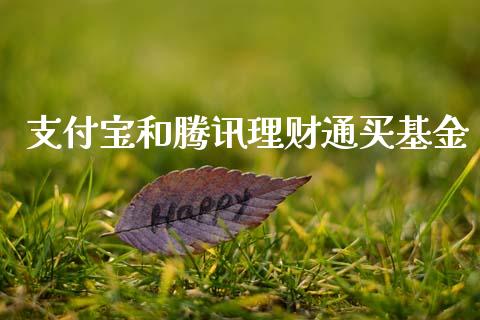支付宝和腾讯理财通买基金_https://www.qdlswl.com_理财_第1张