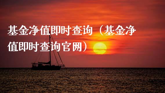 基金净值即时查询（基金净值即时查询官网）_https://www.qdlswl.com_基金_第1张
