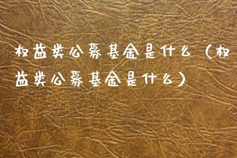 权益类公募基金是什么（权益类公募基金是什么）_https://www.qdlswl.com_基金_第1张