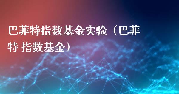 巴菲特指数基金实验（巴菲特 指数基金）_https://www.qdlswl.com_基金_第1张