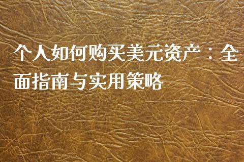 个人如何购买美元资产：全面指南与实用策略_https://www.qdlswl.com_期货_第1张
