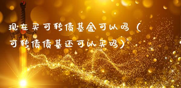 现在买可转债基金可以吗（可转债债基还可以买吗）_https://www.qdlswl.com_理财_第1张