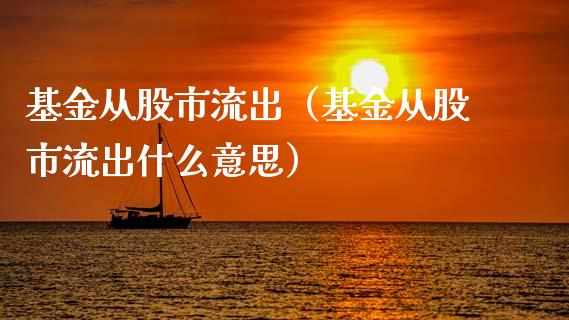 基金从股市流出（基金从股市流出什么意思）_https://www.qdlswl.com_基金_第1张