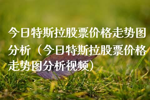 今日特斯拉股票价格走势图分析（今日特斯拉股票价格走势图分析视频）_https://www.qdlswl.com_股票_第1张
