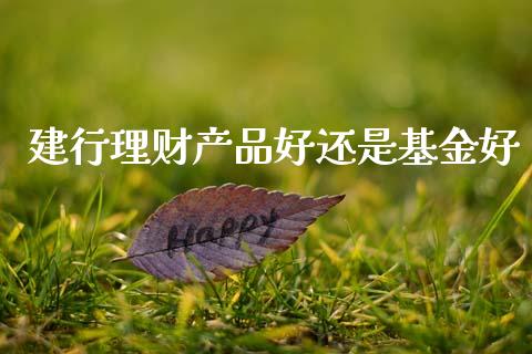 建行理财产品好还是基金好_https://www.qdlswl.com_理财_第1张