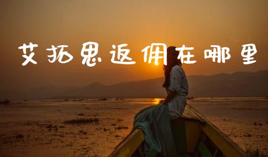 艾拓思返佣在哪里_https://www.qdlswl.com_内盘_第1张