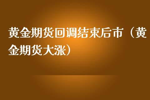 黄金期货回调结束后市（黄金期货大涨）_https://www.qdlswl.com_期货_第1张
