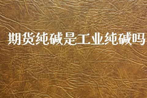 期货纯碱是工业纯碱吗_https://www.qdlswl.com_期货_第1张