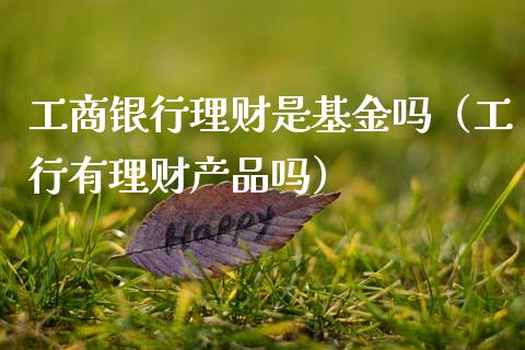 工商银行理财是基金吗（工行有理财产品吗）_https://www.qdlswl.com_基金_第1张