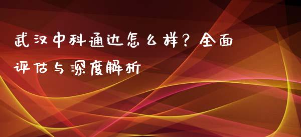 武汉中科通达怎么样？全面评估与深度解析_https://www.qdlswl.com_理财_第1张