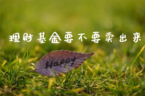理财基金要不要卖出来_https://www.qdlswl.com_基金_第1张