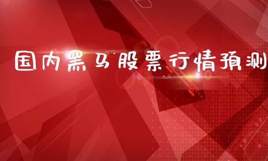 国内黑马股票行情预测_https://www.qdlswl.com_外盘_第1张