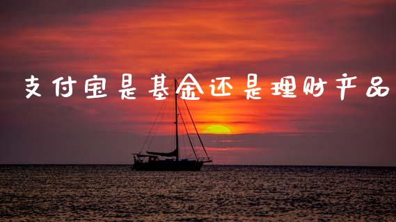 支付宝是基金还是理财产品_https://www.qdlswl.com_基金_第1张