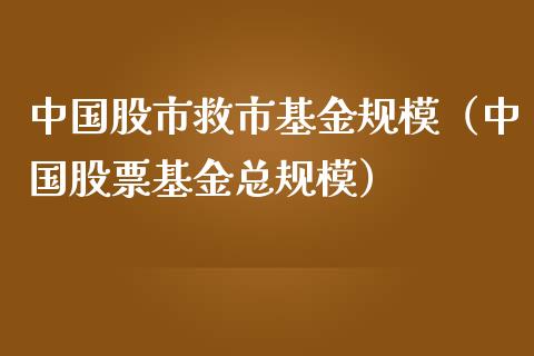 中国股市救市基金规模（中国股票基金总规模）_https://www.qdlswl.com_基金_第1张