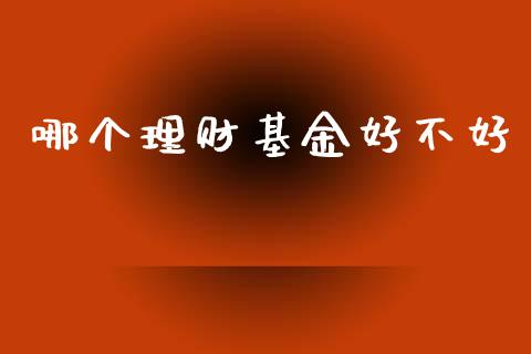 哪个理财基金好不好_https://www.qdlswl.com_理财_第1张