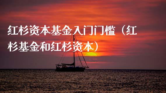 红杉资本基金入门门槛（红杉基金和红杉资本）_https://www.qdlswl.com_理财_第1张