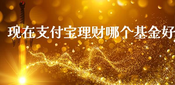 现在支付宝理财哪个基金好_https://www.qdlswl.com_理财_第1张