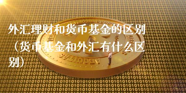 外汇理财和货币基金的区别（货币基金和外汇有什么区别）_https://www.qdlswl.com_理财_第1张