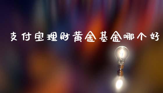 支付宝理财黄金基金哪个好_https://www.qdlswl.com_基金_第1张