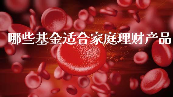 哪些基金适合家庭理财产品_https://www.qdlswl.com_理财_第1张