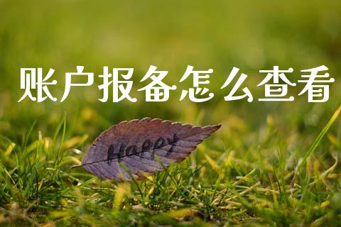 账户报备怎么查看_https://www.qdlswl.com_外盘_第1张